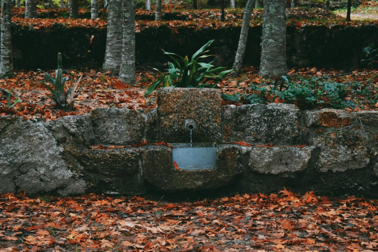 Quinta Das Fontes - Alojamento Rustico Local E Turismo Rural São Pedro do Sul エクステリア 写真