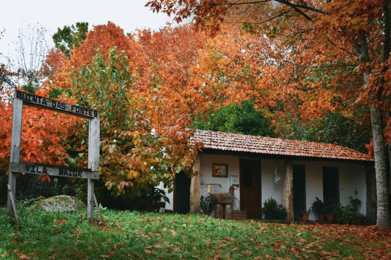 Quinta Das Fontes - Alojamento Rustico Local E Turismo Rural São Pedro do Sul エクステリア 写真