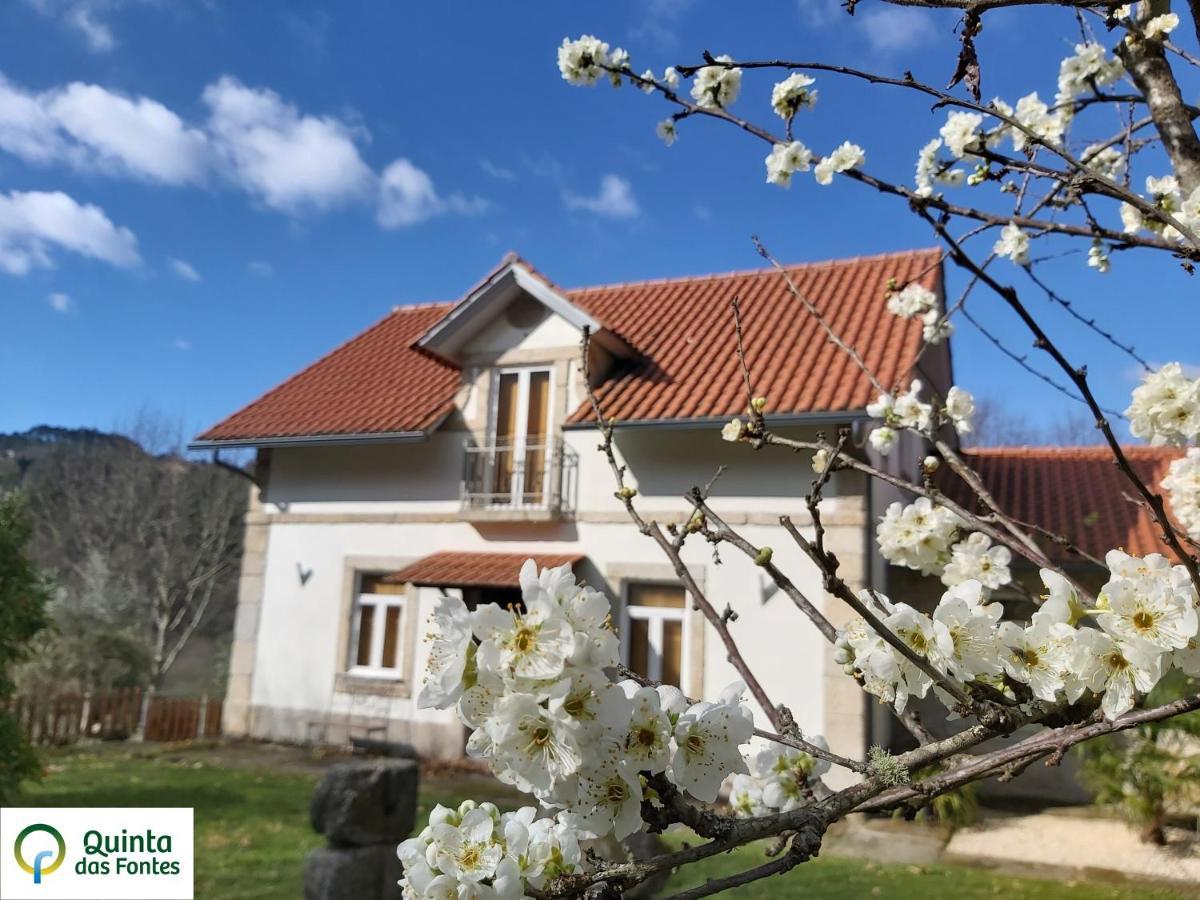 Quinta Das Fontes - Alojamento Rustico Local E Turismo Rural São Pedro do Sul エクステリア 写真