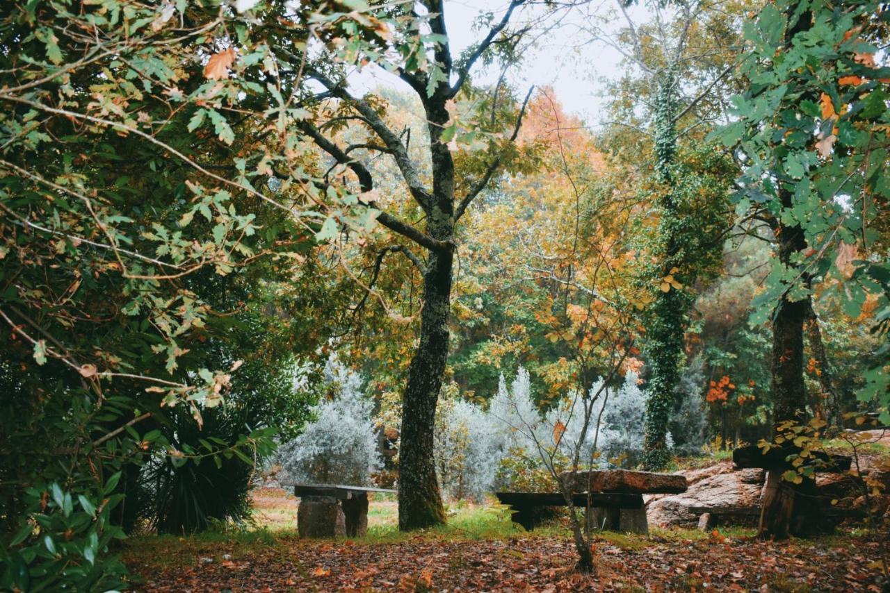 Quinta Das Fontes - Alojamento Rustico Local E Turismo Rural São Pedro do Sul エクステリア 写真