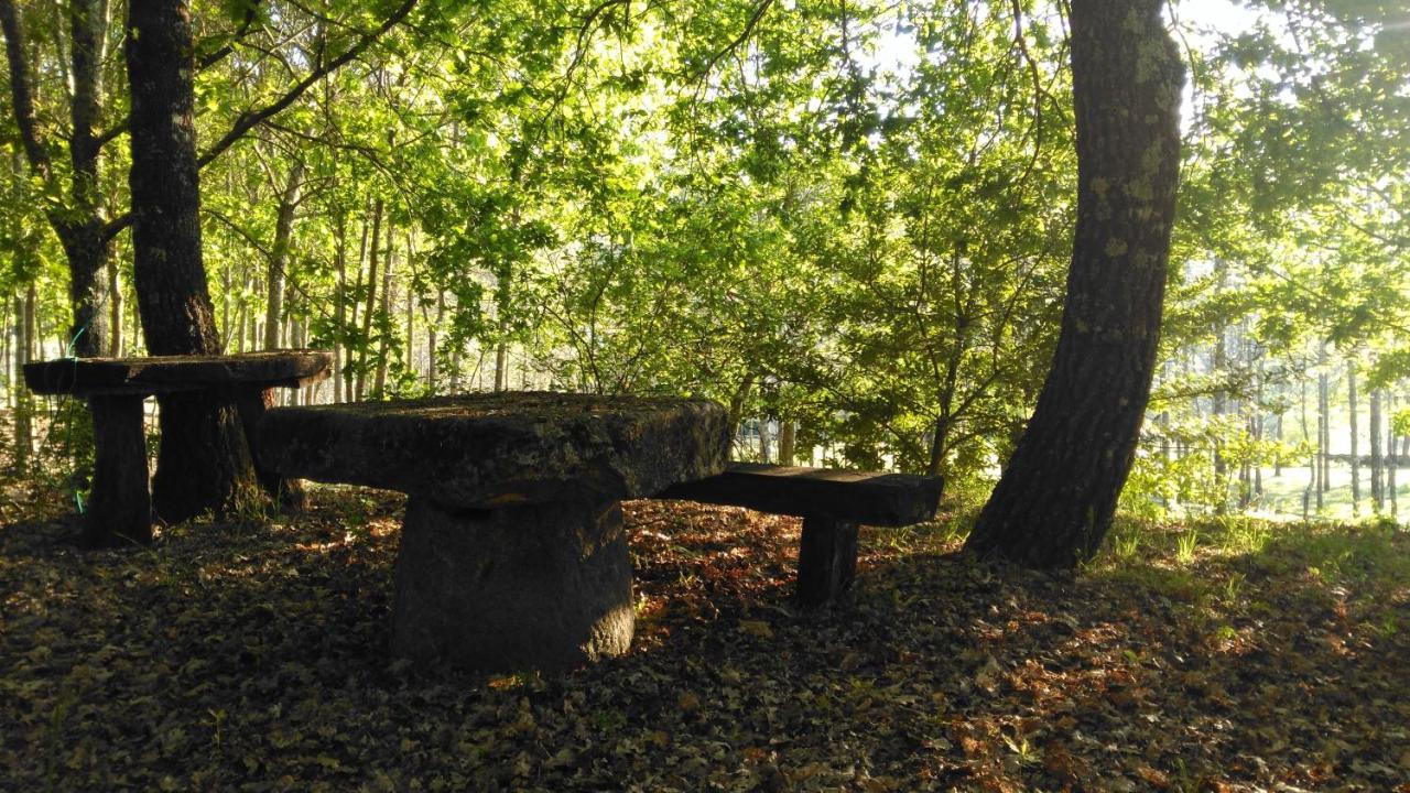 Quinta Das Fontes - Alojamento Rustico Local E Turismo Rural São Pedro do Sul エクステリア 写真