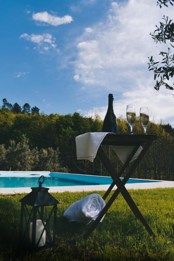 Quinta Das Fontes - Alojamento Rustico Local E Turismo Rural São Pedro do Sul エクステリア 写真