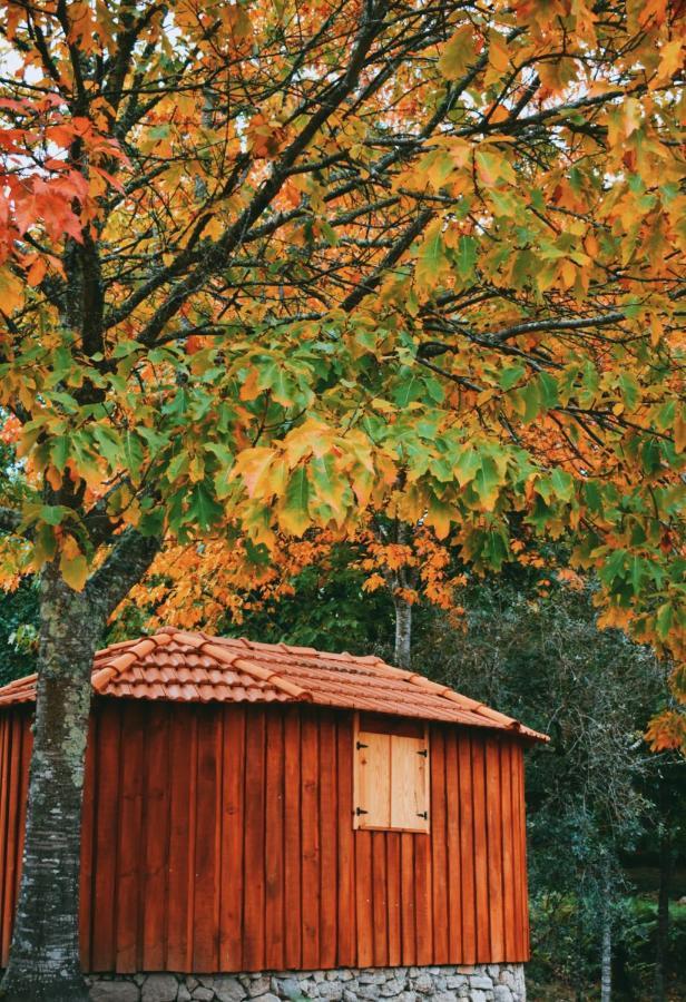 Quinta Das Fontes - Alojamento Rustico Local E Turismo Rural São Pedro do Sul エクステリア 写真
