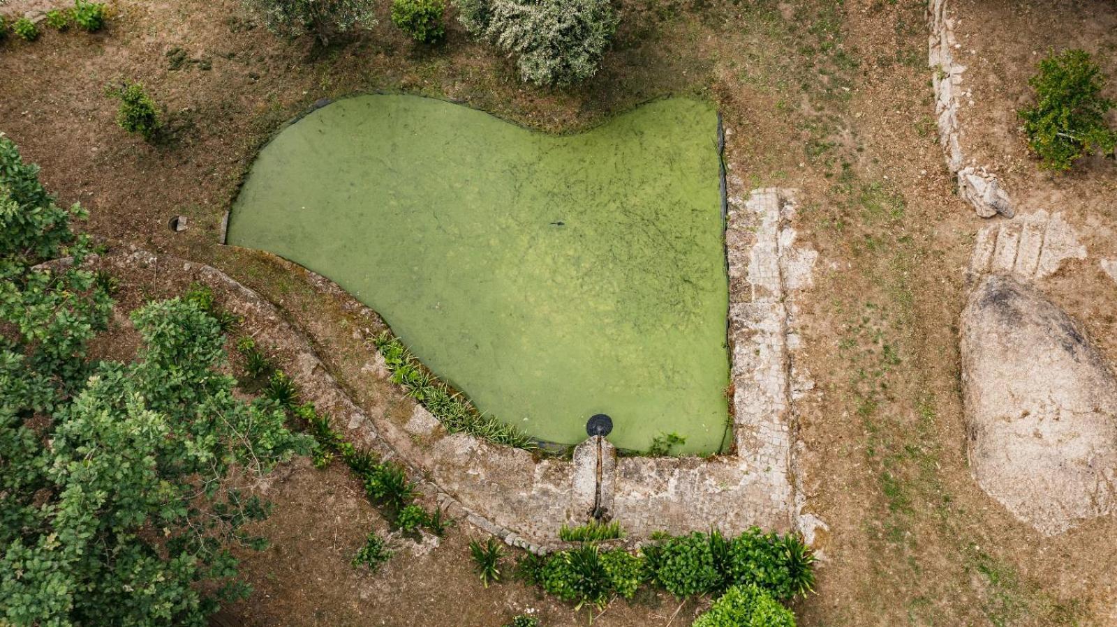 Quinta Das Fontes - Alojamento Rustico Local E Turismo Rural São Pedro do Sul エクステリア 写真