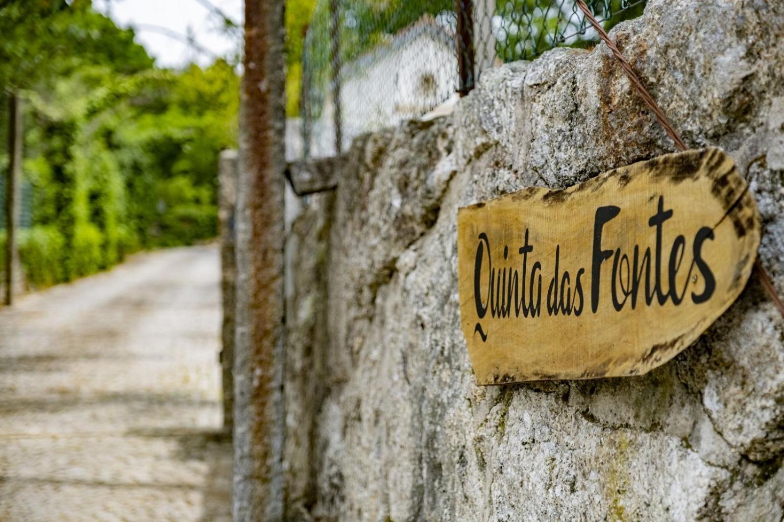 Quinta Das Fontes - Alojamento Rustico Local E Turismo Rural São Pedro do Sul エクステリア 写真