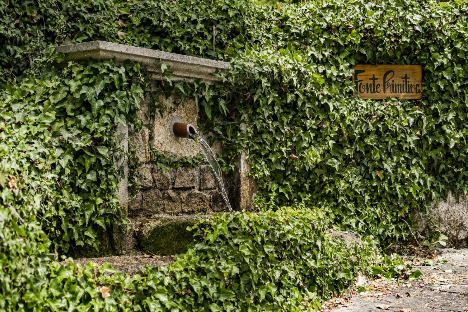 Quinta Das Fontes - Alojamento Rustico Local E Turismo Rural São Pedro do Sul エクステリア 写真