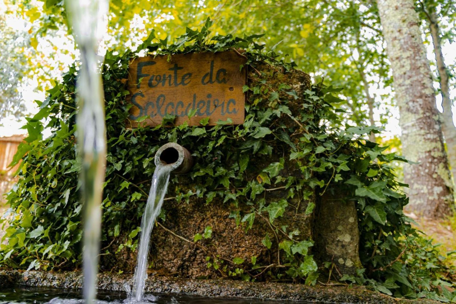 Quinta Das Fontes - Alojamento Rustico Local E Turismo Rural São Pedro do Sul エクステリア 写真