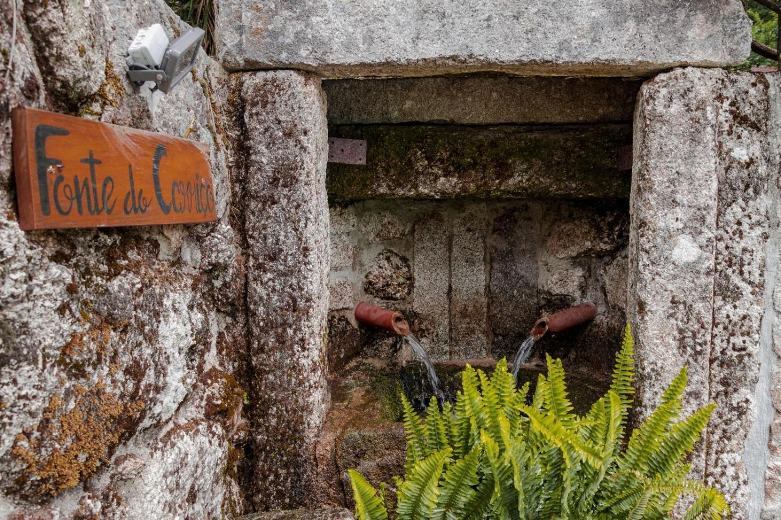Quinta Das Fontes - Alojamento Rustico Local E Turismo Rural São Pedro do Sul エクステリア 写真