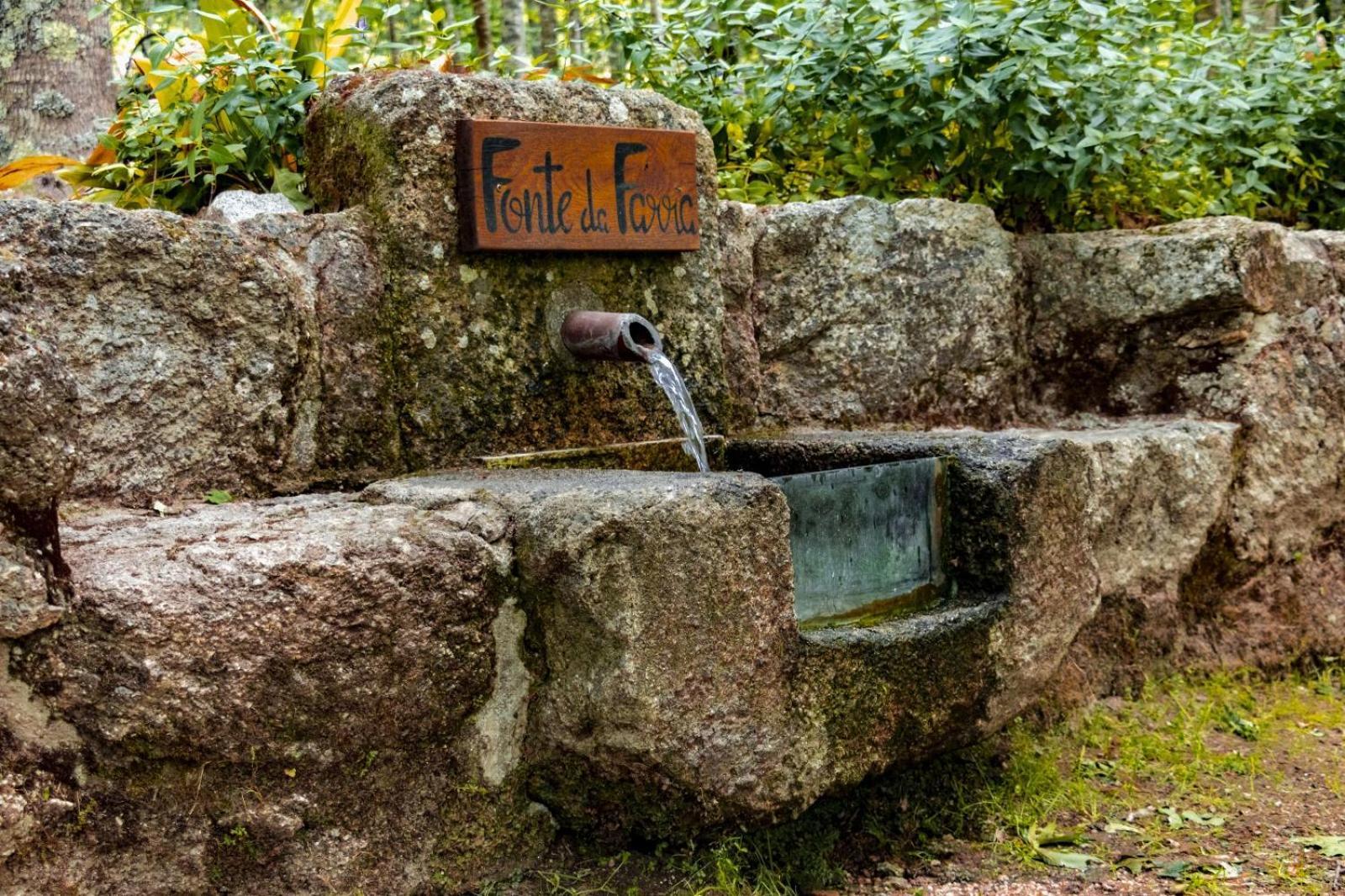Quinta Das Fontes - Alojamento Rustico Local E Turismo Rural São Pedro do Sul エクステリア 写真